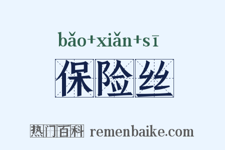 保险丝是什么意思的图片